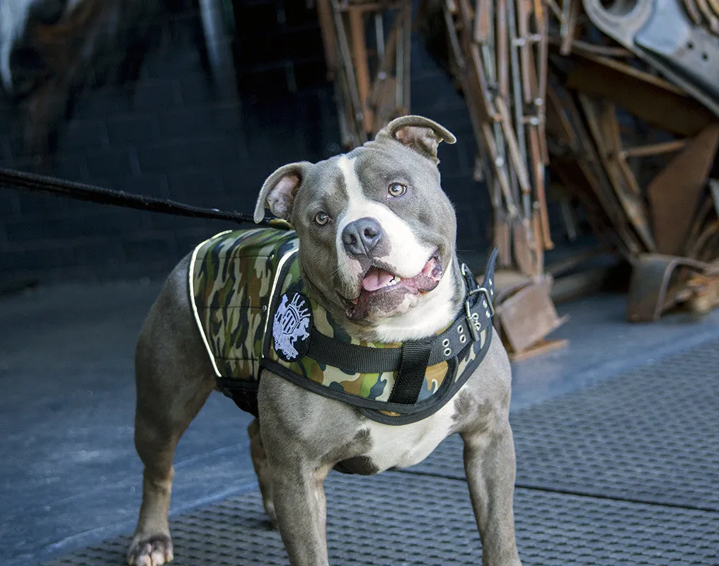 Rogue Royalty Canine Weight Vest - Camo