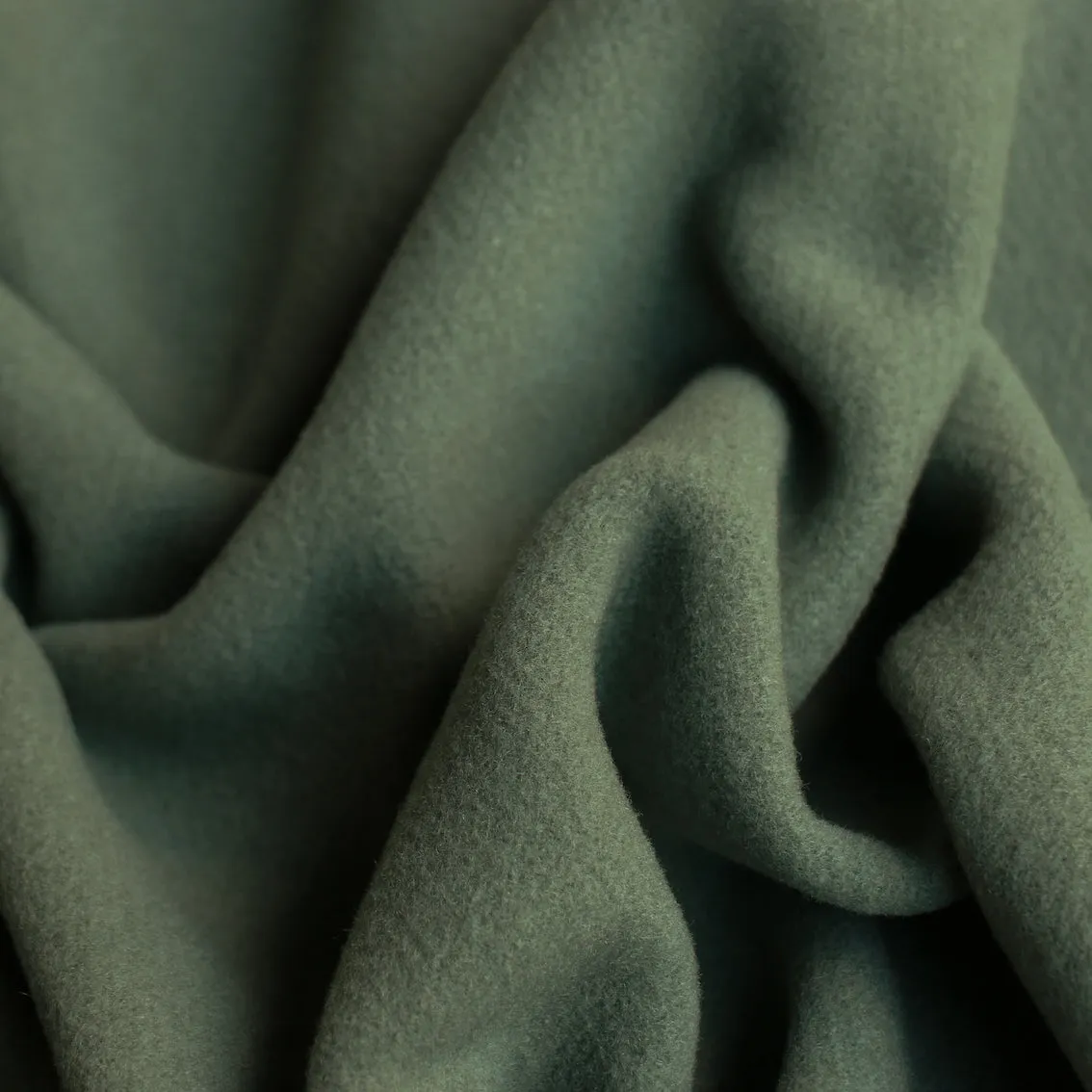 Salvia Coating